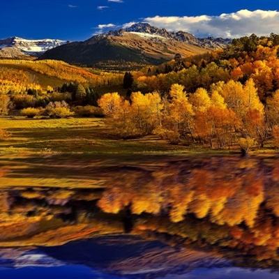 yabo官网网页版app下载