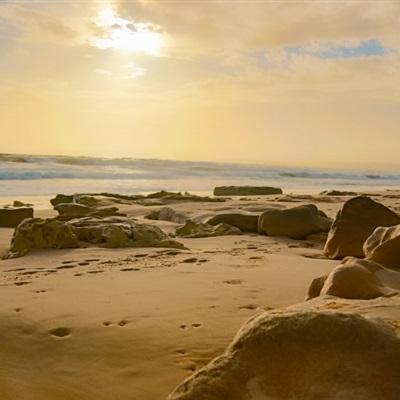 yabo官网网页版app下载